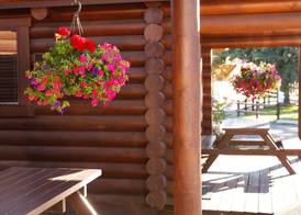 Elk Country Inn 4