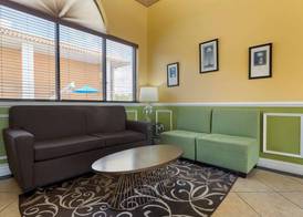 Quality Inn & Suites Mt Dora North 4