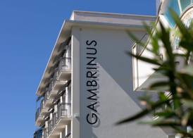 Hotel Gambrinus Mare 4
