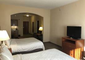 Holiday Inn Express & Suites LANSING-DIMONDALE by IHG 5