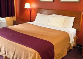 Executive Inn Schenectady Downtown 5