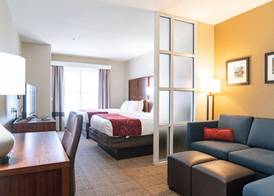 Comfort Suites Vicksburg 5