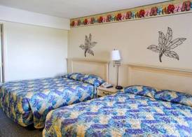 Palms Resort 2