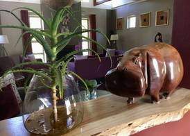 Lily Pond Country Lodge 3