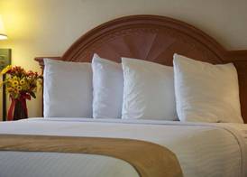 Barcelona Suites 4