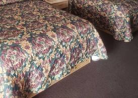 Camlot Inn Motel 2
