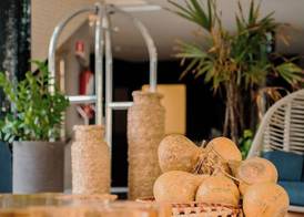 Afago Mareiro Hotel 5