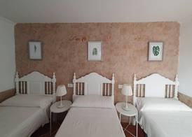 El Nogal Home 5