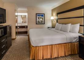Best Western Inn & Suites of Macon 4