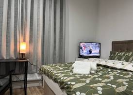 Entire Studio apartment - London 3