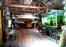 Khao Sok Tree House Resort 2
