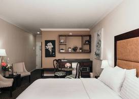 Holiday Inn DURANGO by IHG 3