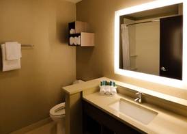Holiday Inn Express & Suites Plymouth - Ann Arbor Area by IHG 3