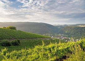 Hotel Moselblick 5