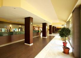 Ona Luna Park - Adults Friendly 16 Years Plus 3