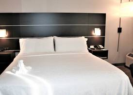 Holiday Inn Express MILL VALLEY SAN FRANCISCO AREA by IHG 2