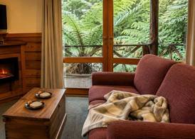 Cradle forest inn 3
