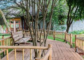 Ngorongoro Forest Tented Lodge 2