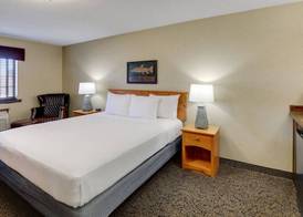 Stoney Creek Hotel Quad Cities - Moline 5
