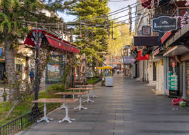 Olsen Hotels 2