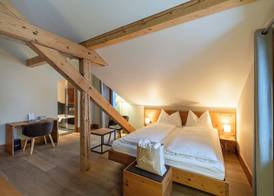 The Alpina Mountain Resort 5