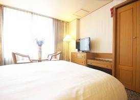 Seoul Rex Hotel 5