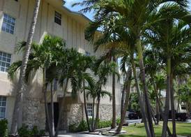 Coral Reef at Key Biscayne 2
