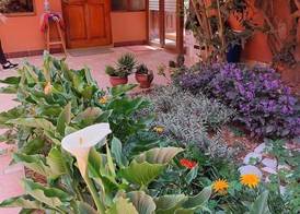 LILIUM VALLEY 3