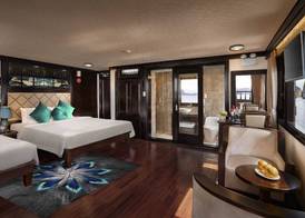Alisa Premier Cruise 5