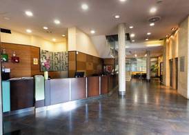 Sercotel Las Artes Pinto 2