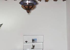 Riad Le Lieu 4
