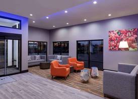 La Quinta Inn & Suites by Wyndham St Louis Route 66 3