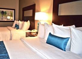 Holiday Inn & Suites SYRACUSE AIRPORT - LIVERPOOL by IHG 4