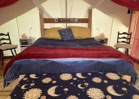So Damn Lucky Glamping 3