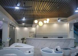 Bohol Dolphin Bay Resort 5
