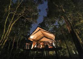 Paperbark Camp 3