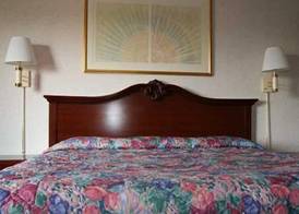 Rodeway Inn Syracuse Carrier Circle 5