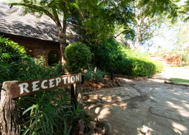 Mohlabetsi Safari Lodge 3
