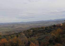 Azienda Agraria La Casella 4