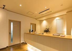 HAOSTAY 3
