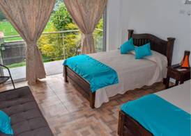 Hotel Boutique Palmas de Salento 2