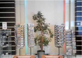 Papillo Hotels & Resorts Roma 5