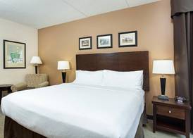 Holiday Inn LOUISVILLE AIRPORT - FAIR/EXPO by IHG 5