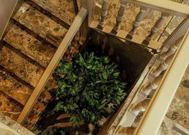 ALBERGO RISTORANTE BELSITO FIUGGI Nhost 5