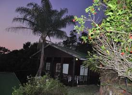 Impala Niezel Lodge & Guest House 5