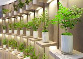 Hotel Condes de Barcelona 2