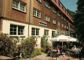 Waldhotel Harz Ilsenburg 5