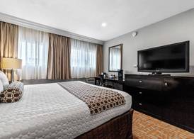 The Snoozzz Inn 4