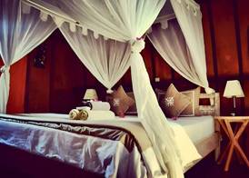Zoé Bungalows 3