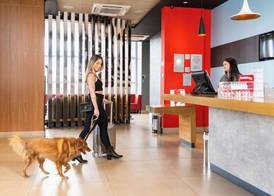 Ibis Guaratingueta Aparecida - Próximo ao Circuito da Fé e Santuário Frei Galvão 2